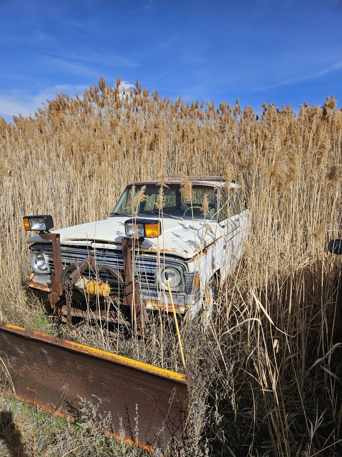 1972 Jeep Wagoneer S Launch Edition