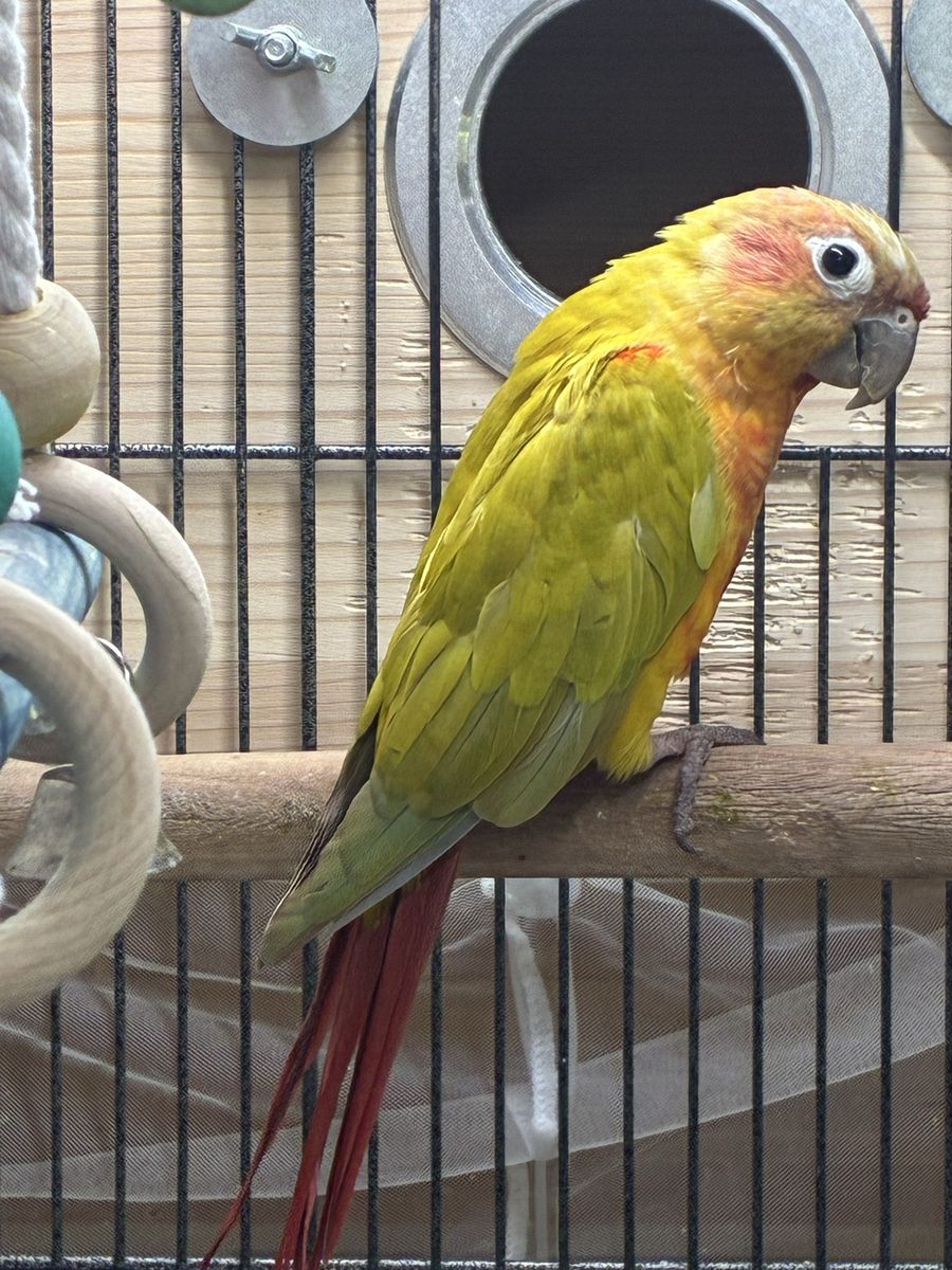 Main image 5