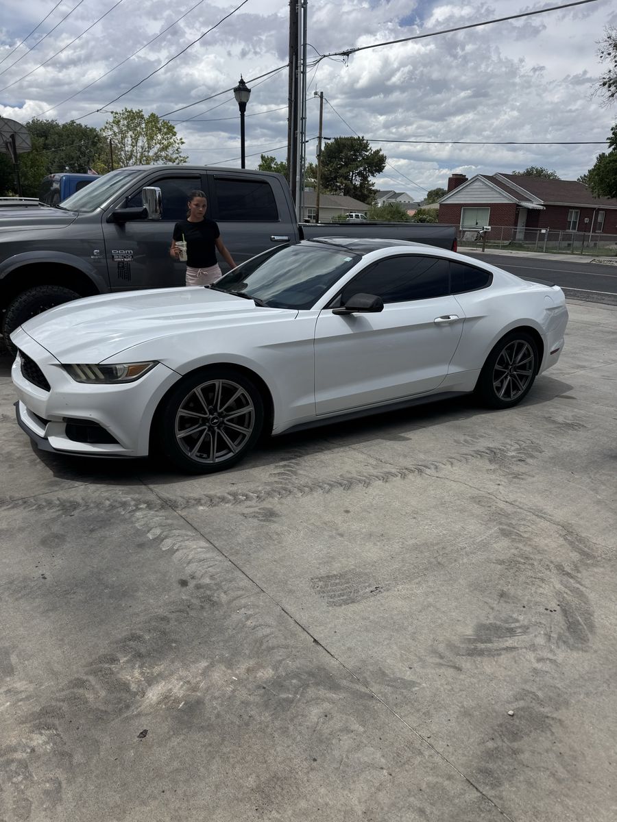 2015 Mustang