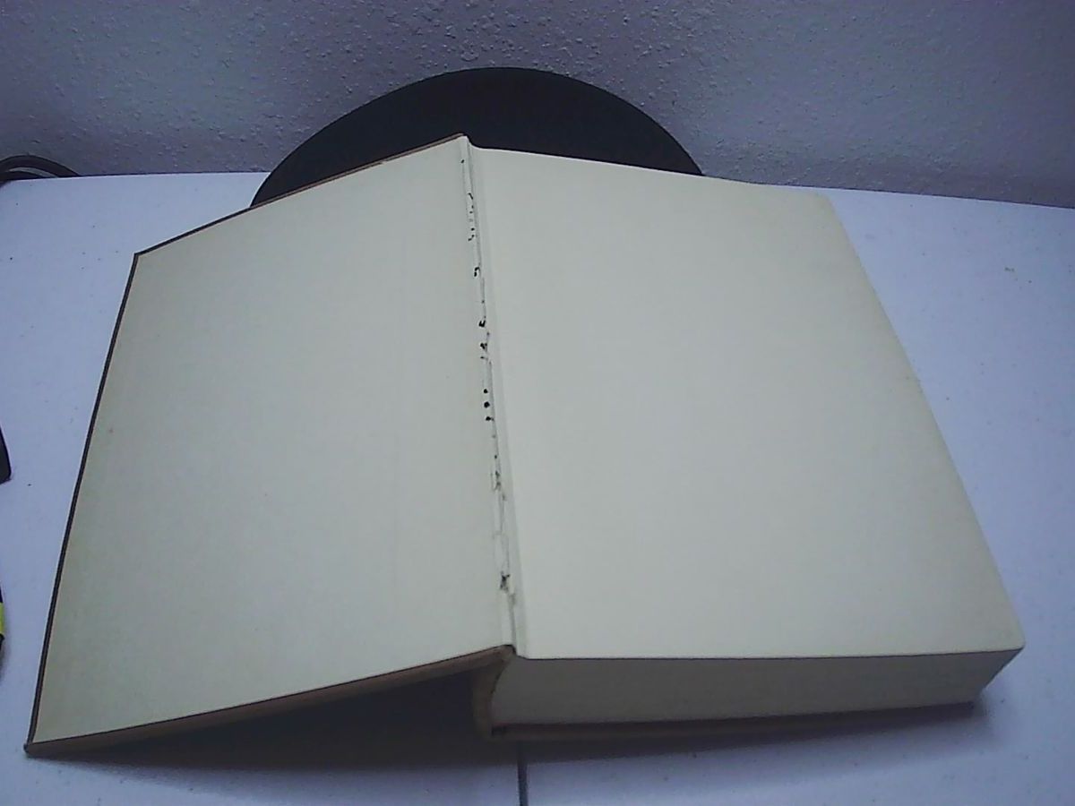 Main image 6