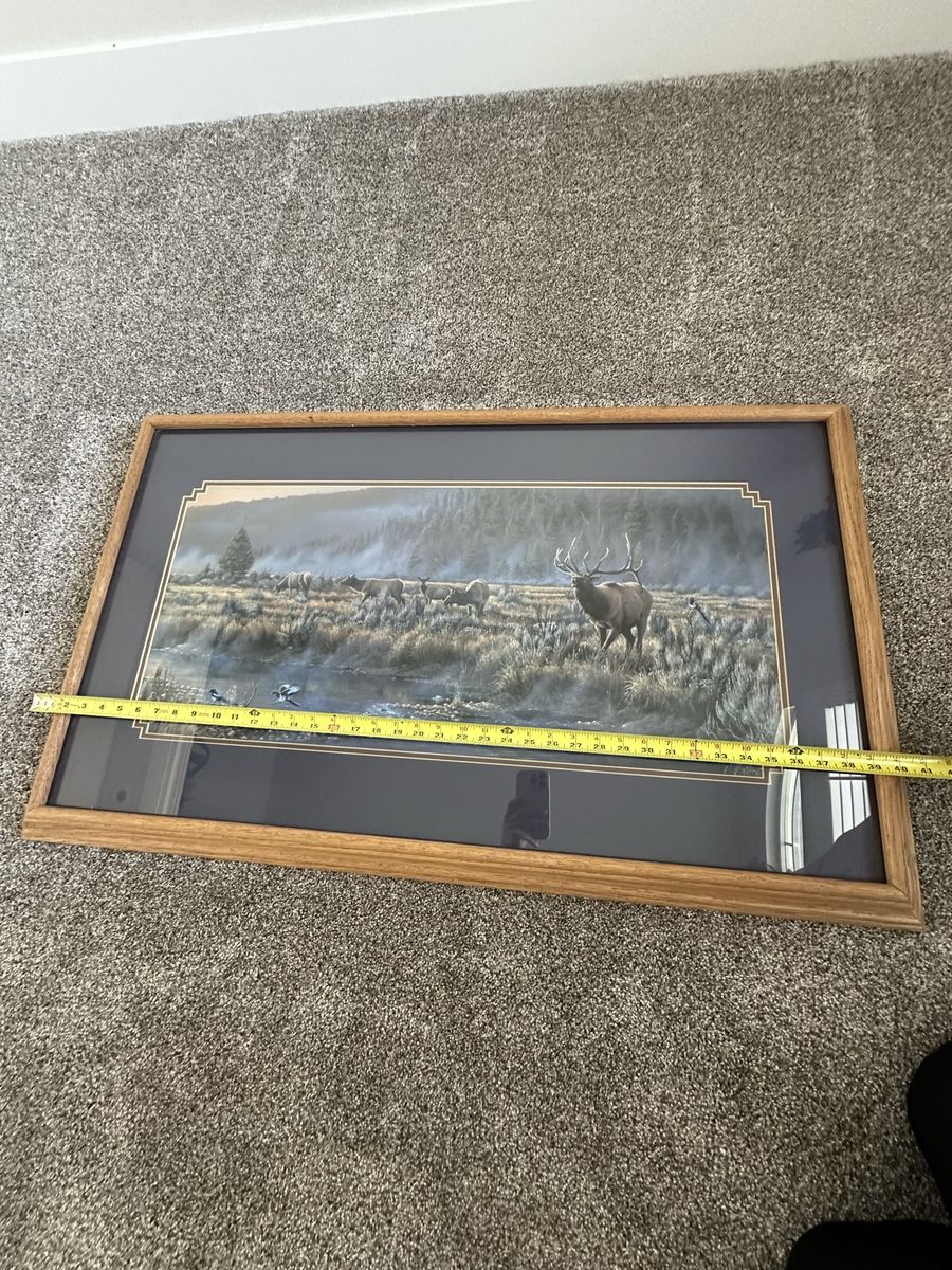 Main image 5