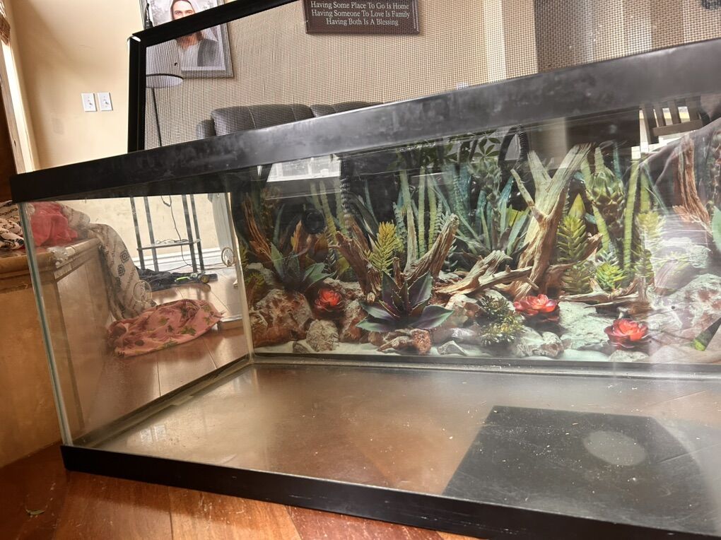 40 Gallon Tank