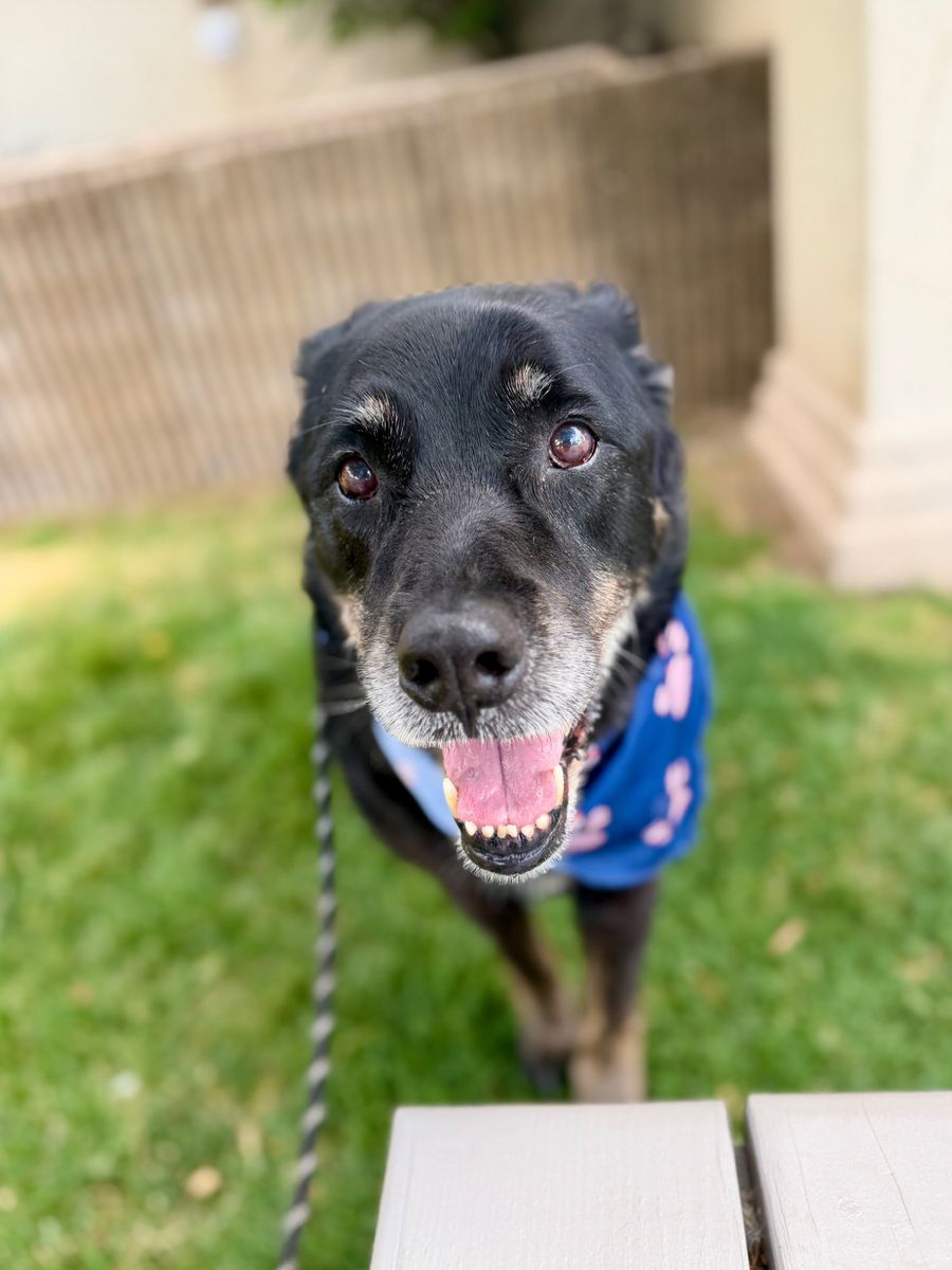 9yr Old Thor
