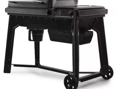 Traeger Wood Pellet Smoker Grill