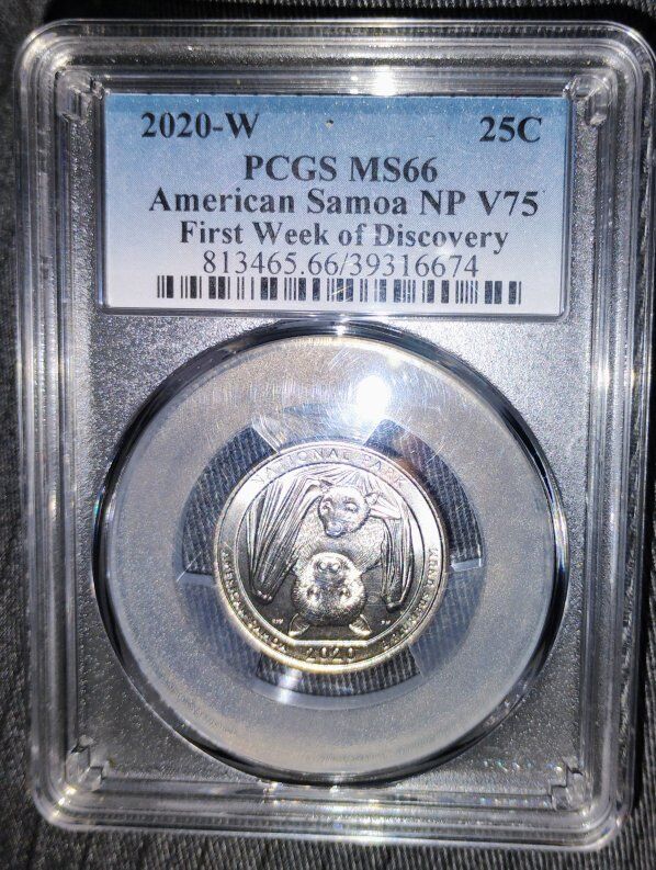 8 NGC and PCGS high grade Ws Great Deal