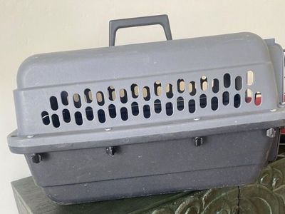 Hard Plastic Pet Carrier for Cats or small Dogs Grey/Black