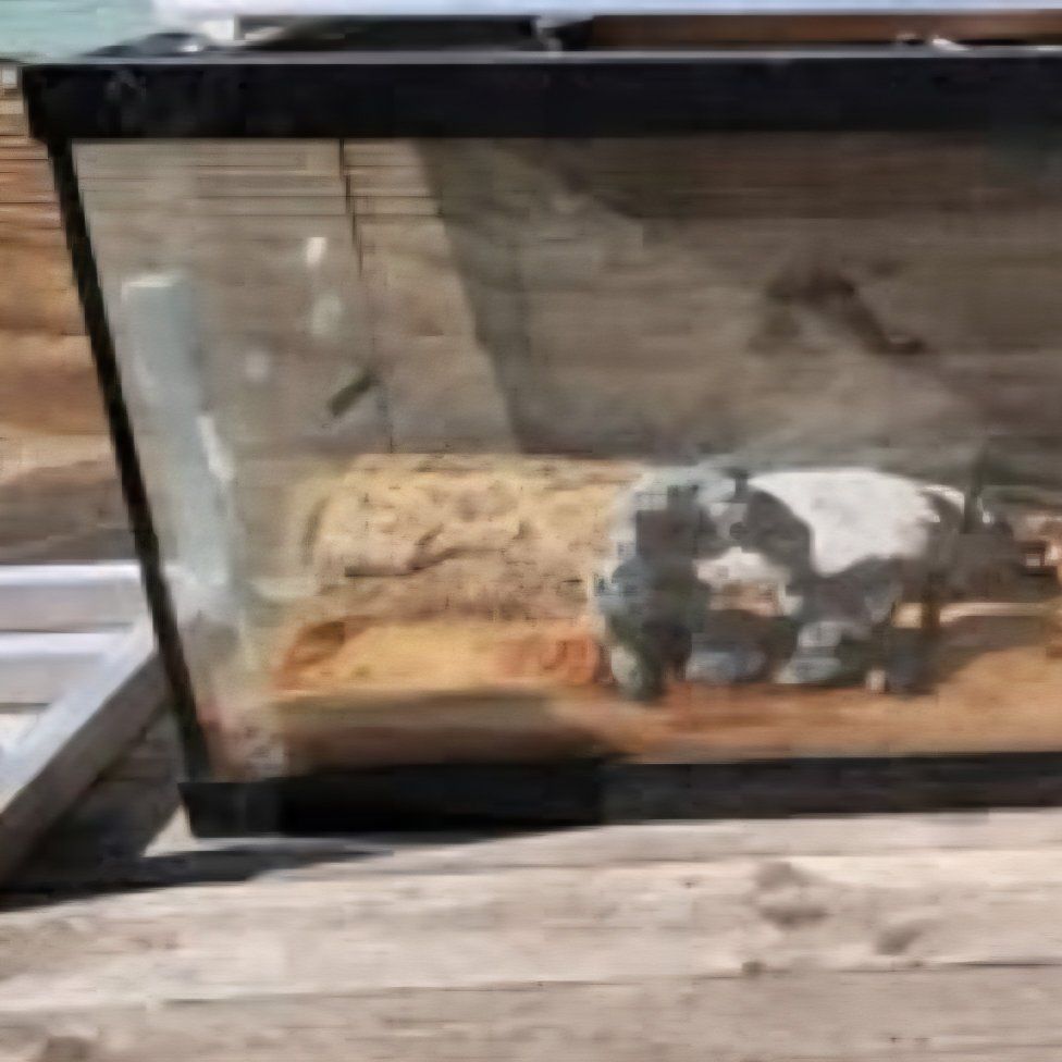 Large Lizard Tank and Stand