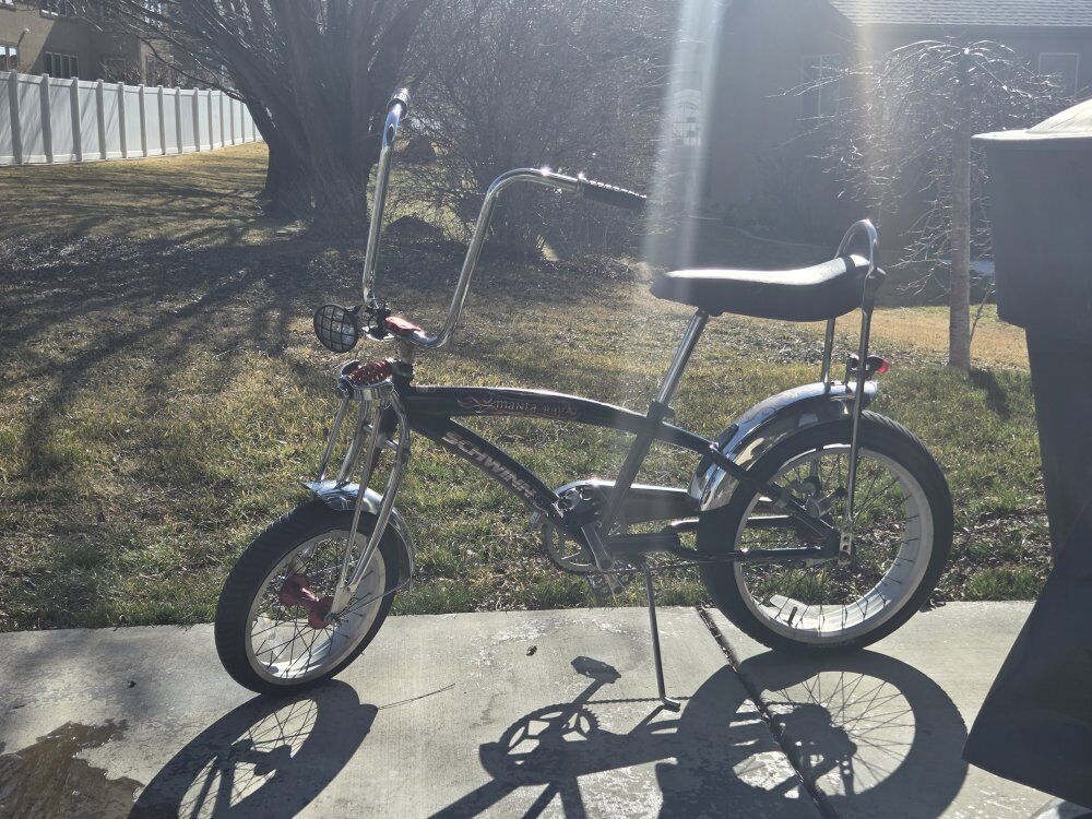 Schwinn Manta Ray Bicycle Bike