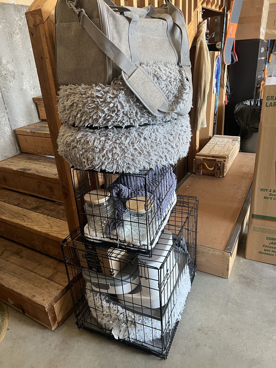 Dog Estate Sale