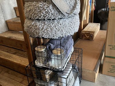 Dog Estate Sale