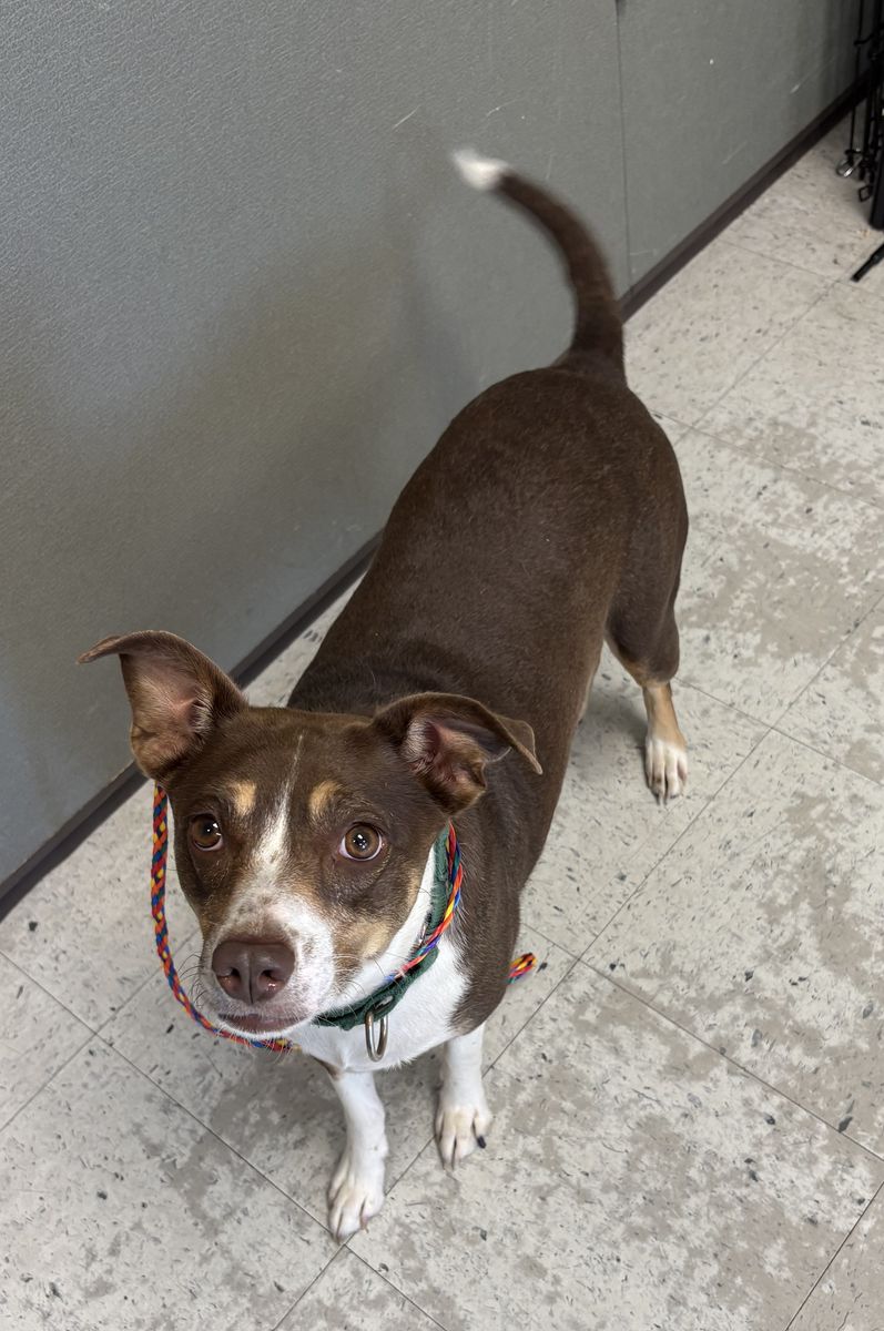A162888 Slug Bug Available for Adoption!