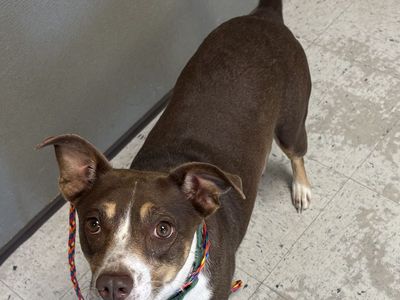 A162888 Slug Bug Available for Adoption!