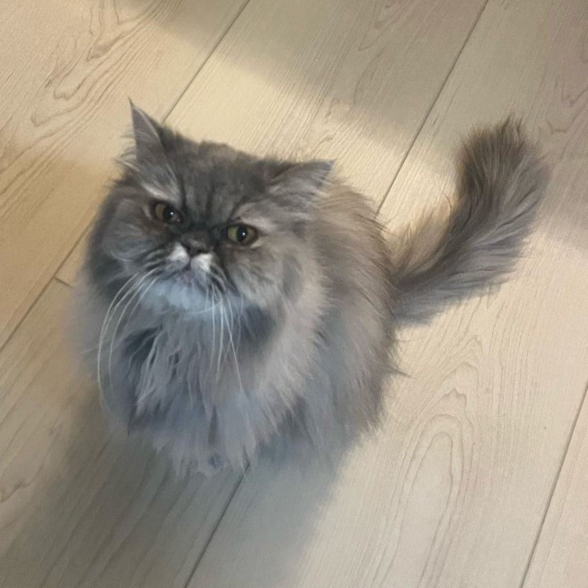 Hello my name is Emmy