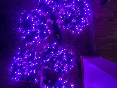 String lights