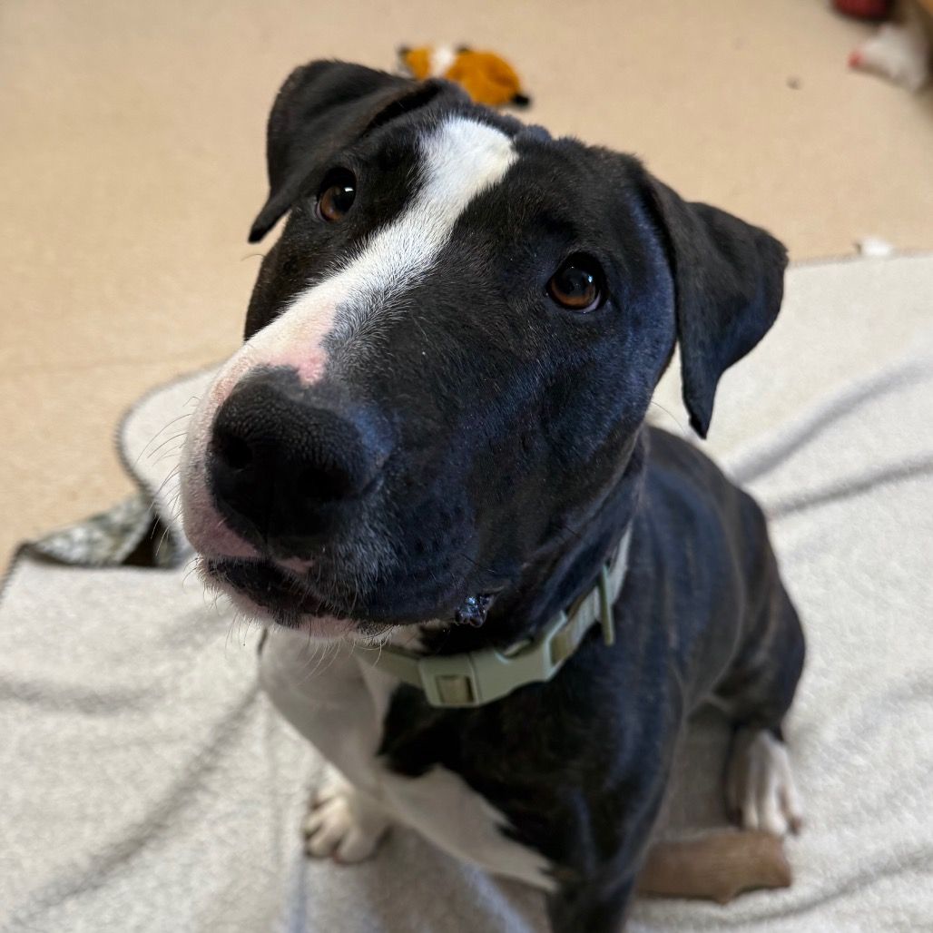 Hello my name is Eowyn