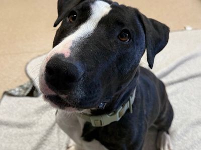 Hello my name is Eowyn