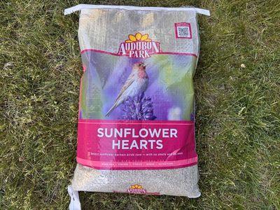 Bird Seed 15 lb Bag Sunflower Hearts Wild Bird Food