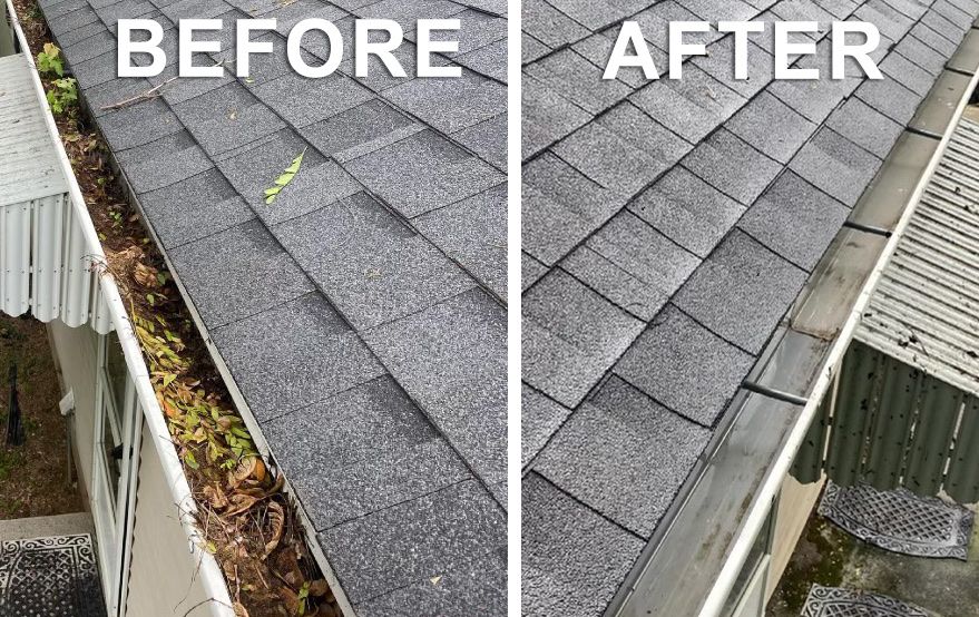 Professional Gutter Cleaning Service - Residential & Commercial