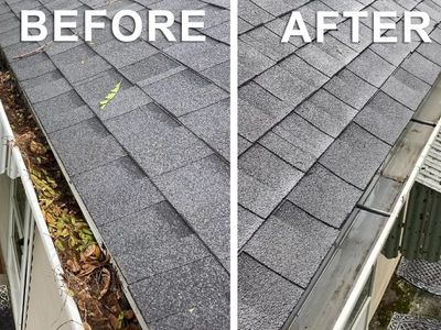 Professional Gutter Cleaning Service - Residential & Commercial