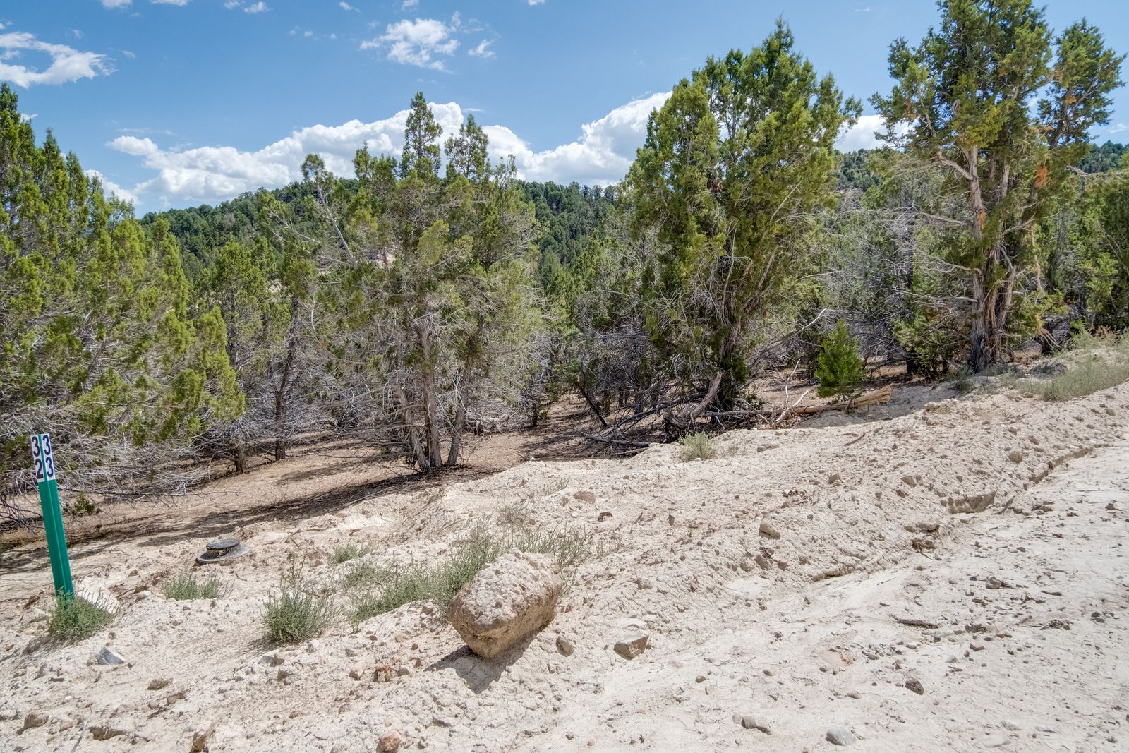 Main image 6