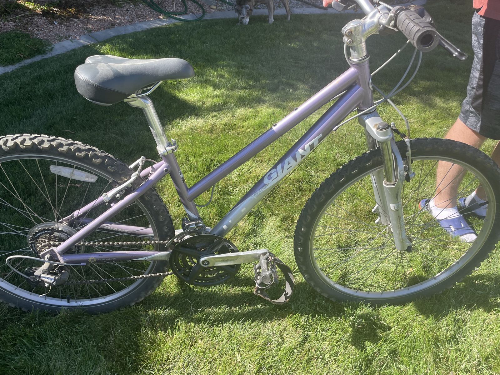 Giant Boulder Mountain Bike – XS – Great Condition