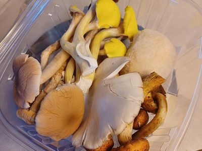 Fresh, homegrown, gourmet mushrooms