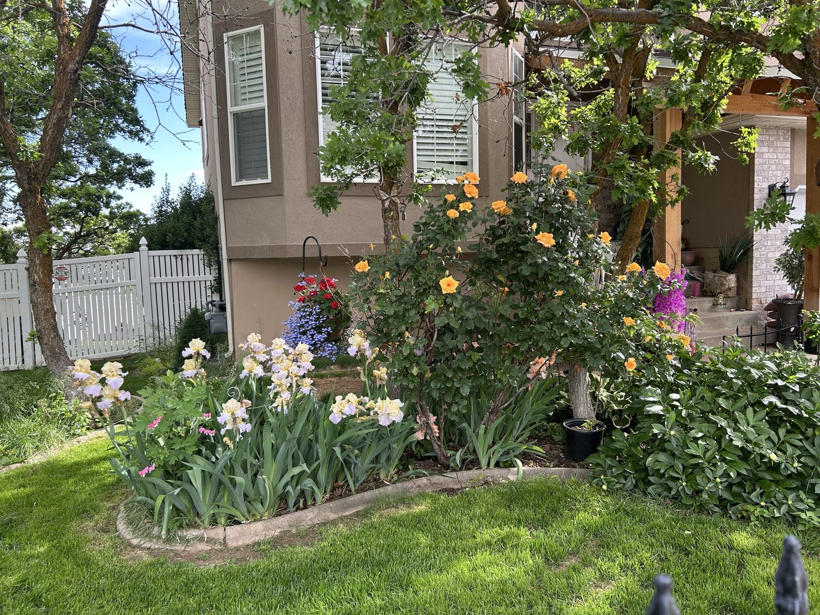 Main image 8