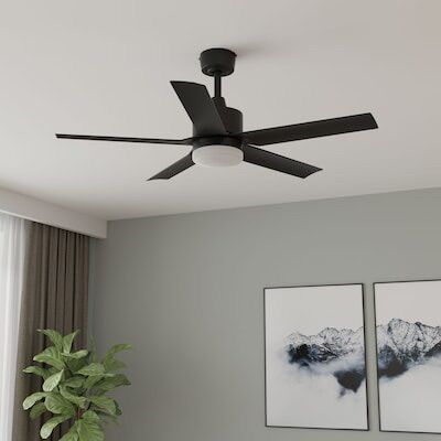 Ceiling Fan With Light (4 Total Left)