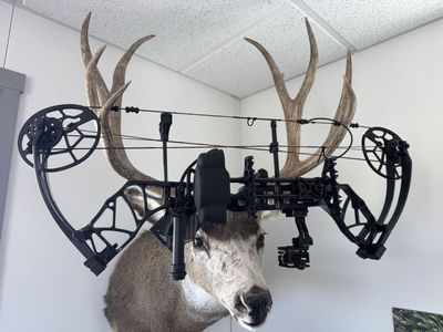 Bear Legit Maxx RTH bow.