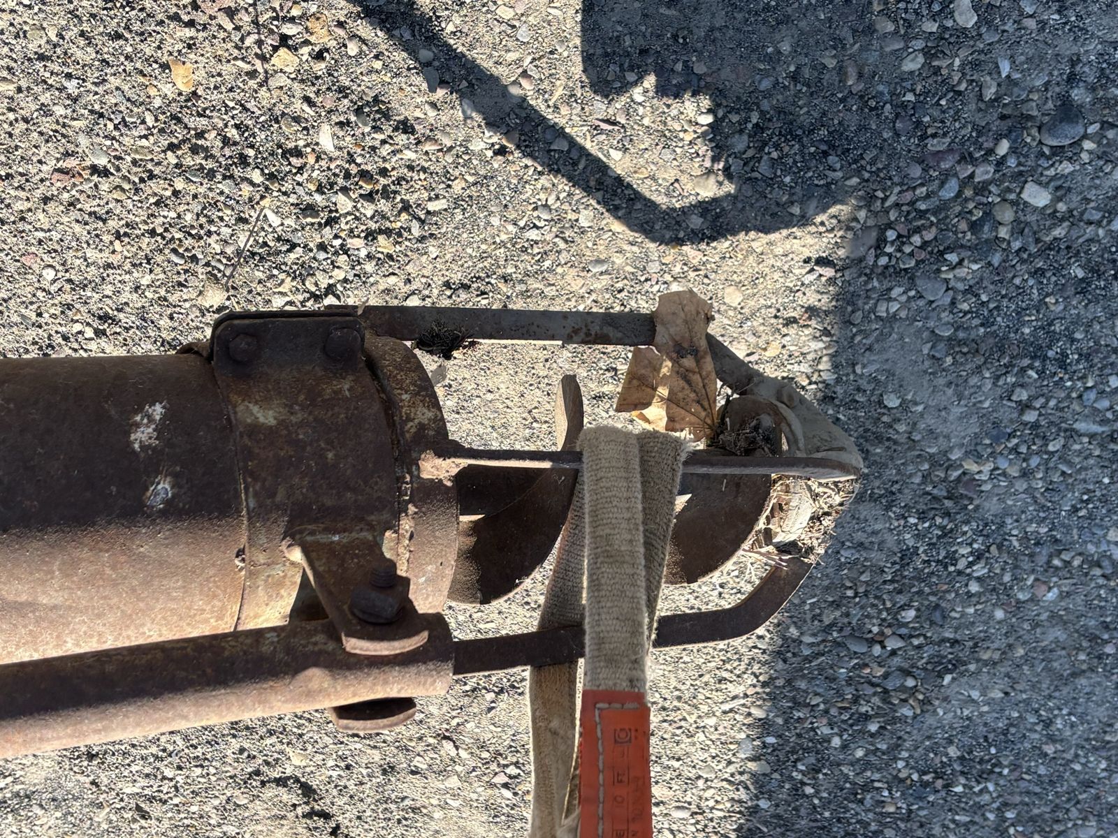 Main image 5
