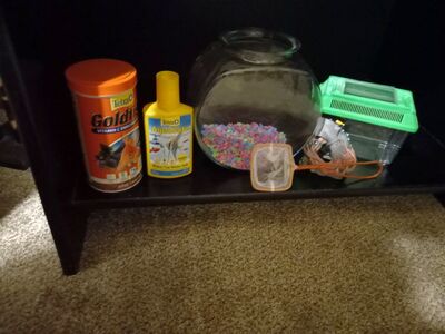 Goldfish Supplies
