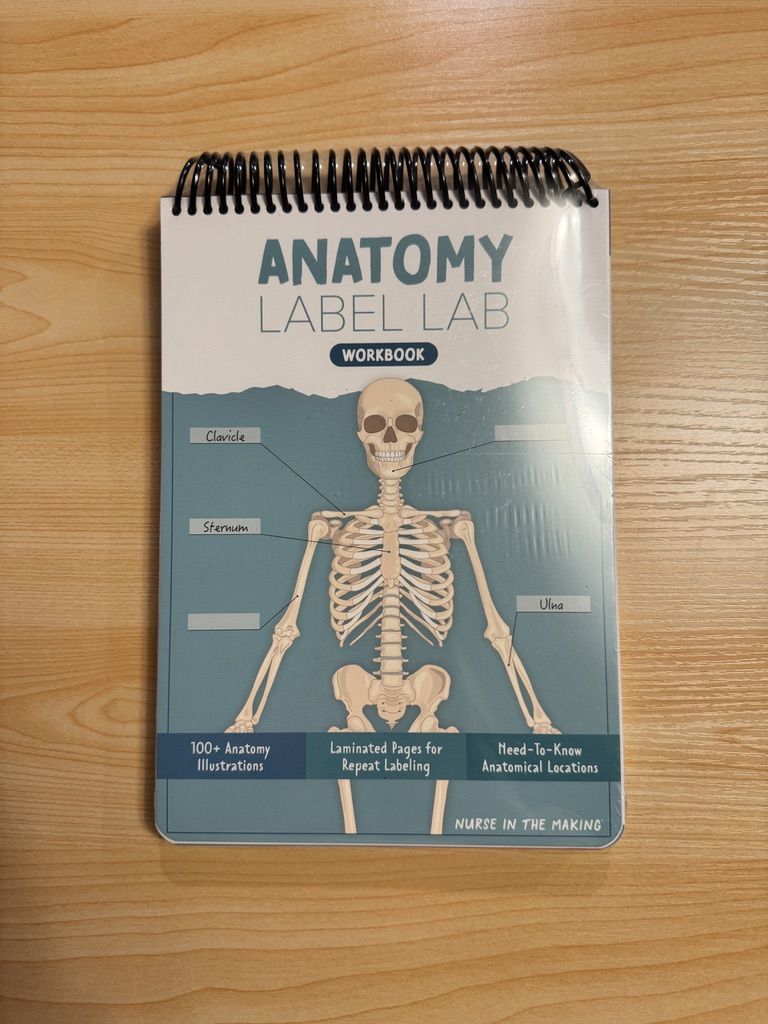 Nurse in the Making Anatomy Label Lab