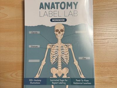 Nurse in the Making Anatomy Label Lab