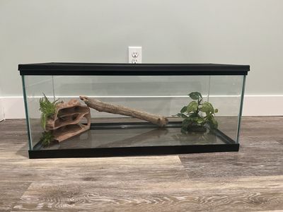 Reptile terrarium