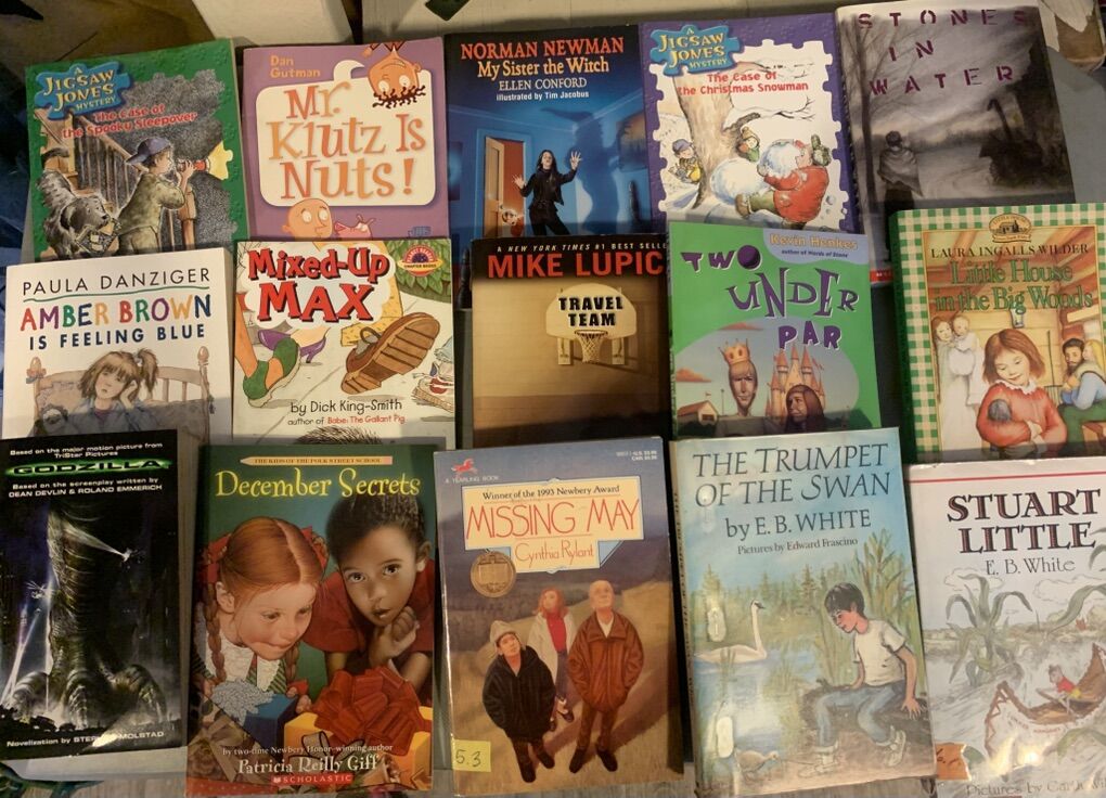 Books For 3rd, 4th 5th And 6th Graders, Teachers