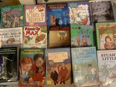 Books For 3rd, 4th 5th And 6th Graders, Teachers