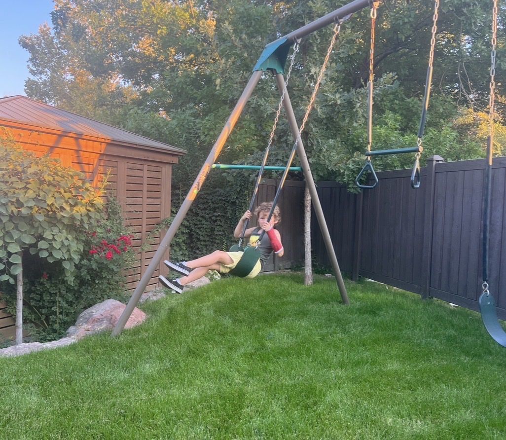 Lifetime 10ft. Swing Set