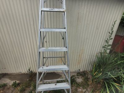 Aluminum ladder