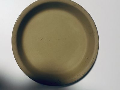 Pampered chef 10” pie plate