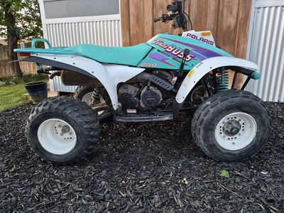 1996 Polaris Trail Boss 250