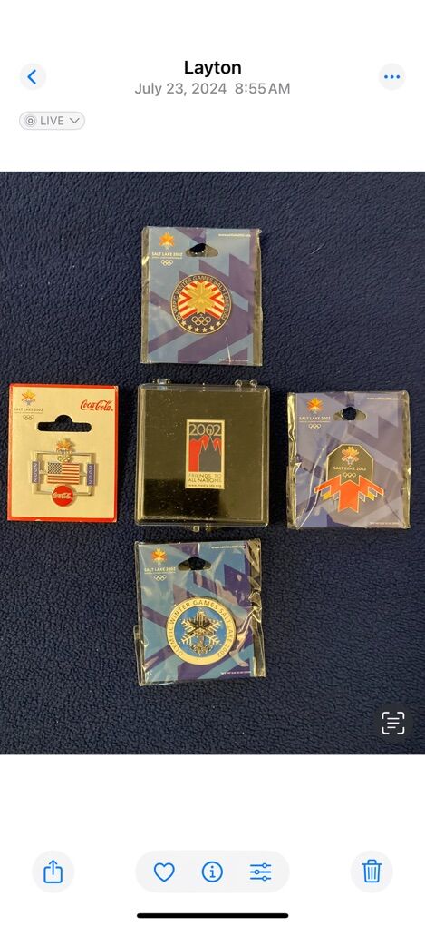 Set Of S.L.C. Winter Olympic Pins