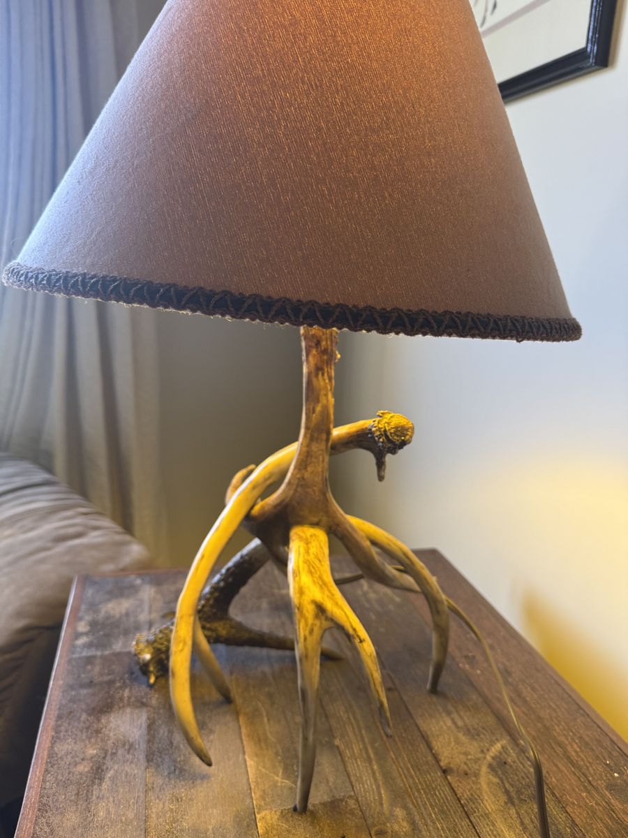 Antler table lamp