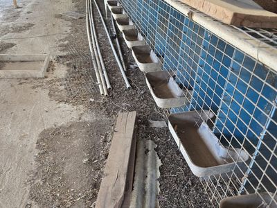FREE Mink Pens- Must Take All