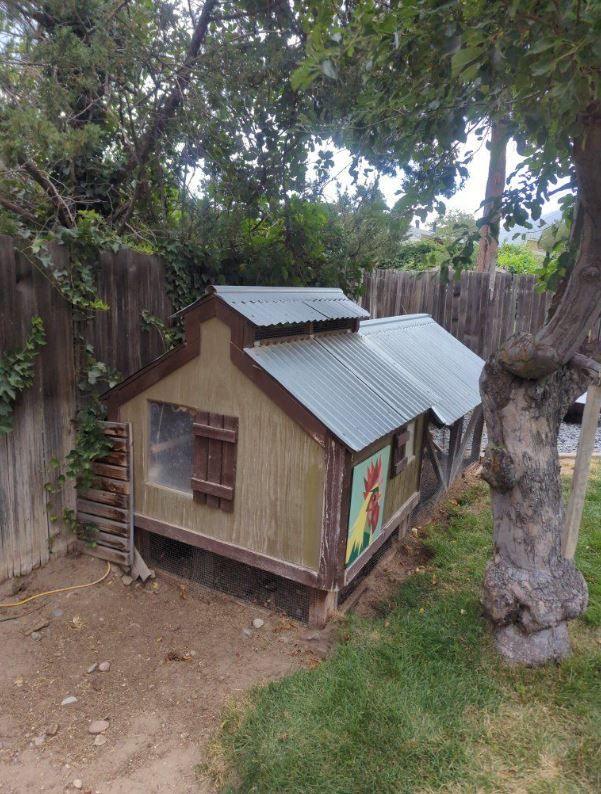 Chicken coop and run
