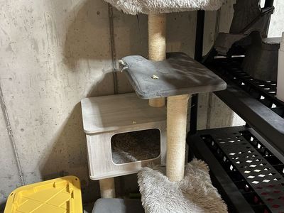 Cat Tree