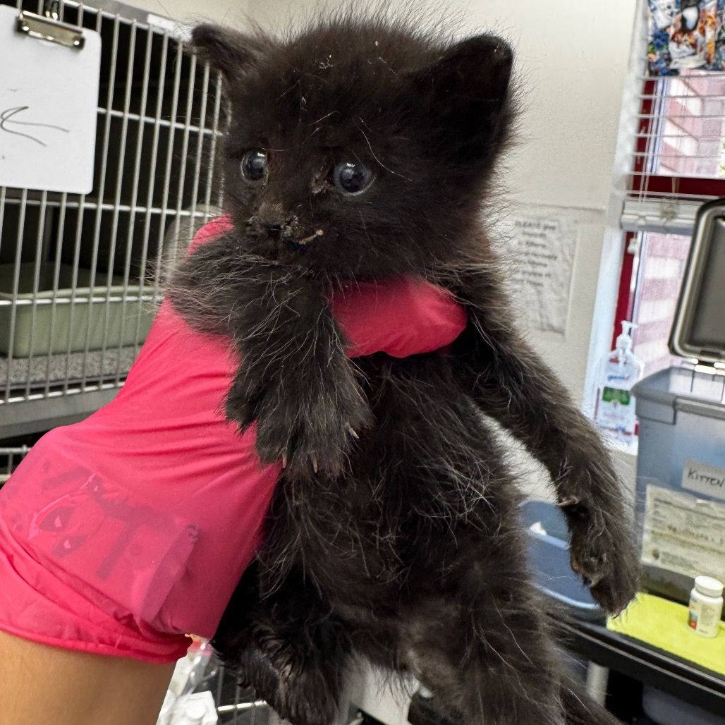 Hello my name is Laurence