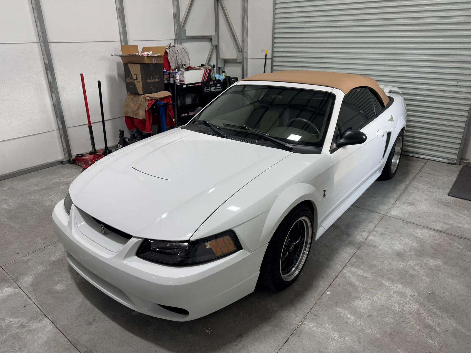 2001 Ford Mustang SVT Cobra SVT