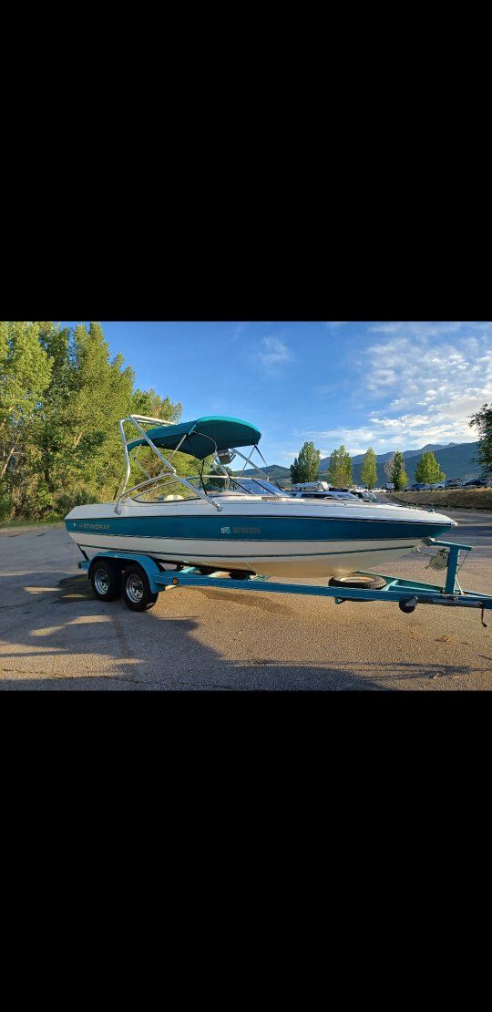 20 ft. Stingray openbow 295hrs V8