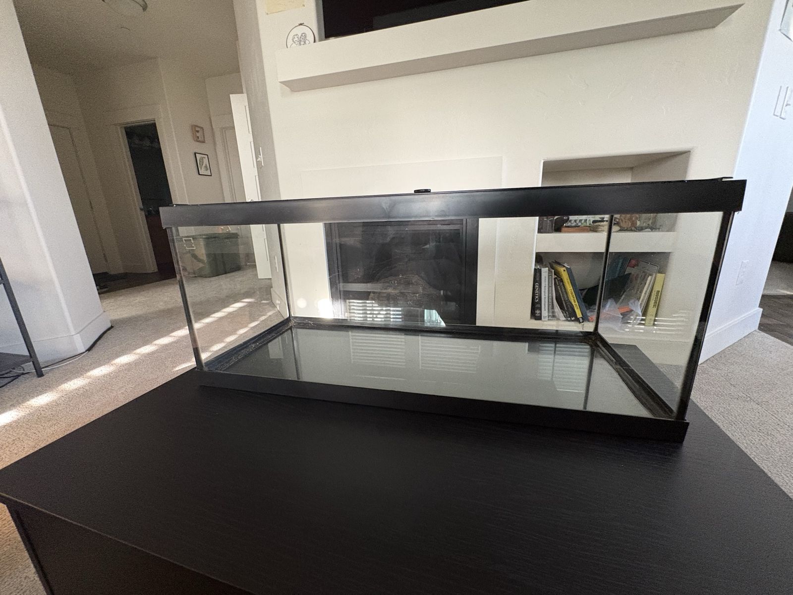 20 gallon (long) repti-zoo terrarium