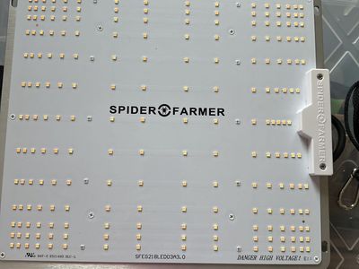 Grow Light Spider Farmer